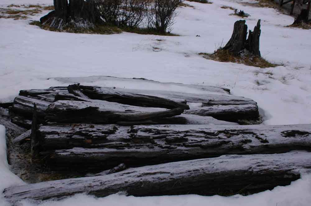 Argentina 084 - parque nacional de Tierra de Fuego.jpg